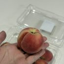 로켓 | 대극천 복숭아 내돈내산 로켓배송 후기, 지금 딱 제철이라 그런지 꿀맛