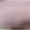 클린하우스 이미지