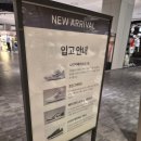 나이키골프롯데백화점 | 롯데백화점 동탄점 나이키골프 쇼핑~~