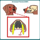 보타닉 동물병원 이미지