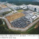 엘지디스플레이(P8)