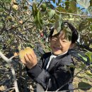 10월 ＜가을 열매를 만나러 가요-사과수확체험학습2＞ 이미지