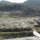 산사에서 보낸 공백의 시간. 그리고 '산사, 한국의 산지 승원' 이미지