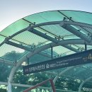대신무약(주) | 2026 대한민국 막걸리 엑스포(막스포, MAXPO)후기, 결혼박람회 대신 주류박람회 다녀온 후기.