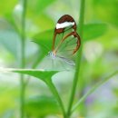 디자인나비 이미지