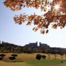 오크밸리 회원제골프장 이미지