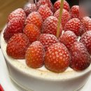 투썸플레이스 포스코사거리점 | [서울_강남] 투썸플레이스 포스코사거리점 / 내돈내산 / 방문후기 / T멤버십 고객감사제 / 할인 매직...