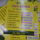 퀸즈헤나뷰티 네이버블로그