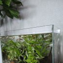 나무그늘 밑의 휴식 이미지