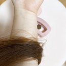 노워시 헤어크리닉 메르시 폼트리트먼트 사용후기