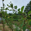 해와솔 하우스 이미지