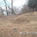 진관1리마을회관 이미지