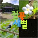 별보리스테이 이미지