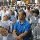 메튜폭스 관련 기사