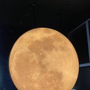 카페799