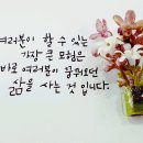 7월 13일(토) 일산정모에 회원여러분을 초대합니다. 이미지