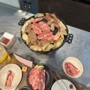 징기스칸치킨 - 세종특별자치시 | 삿포로 맛집 추천 인생 스프카레·초밥·징기스칸·라멘 솔직 후기