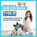 펫트렌드인터네셔널