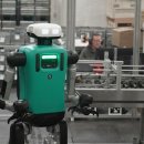 차세대렌트카(주) 이미지