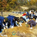 산약테마공원 네이버블로그