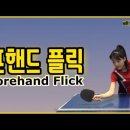 유리안나님 🏓 포헨드 플릭 레슨 이미지