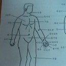 활 배우기 입문자 교본 이미지