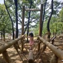 수성구립무학숲도서관 이미지