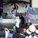 해남공룡박물관 이미지