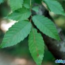 화훼장식기능사 이미지