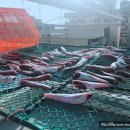 속초 외할머니댁 이미지