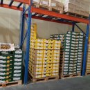 (주)골드레몬 이미지