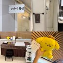 모아이 | 일산 브라질리언 왁싱 마두역에 위치한 모아이 왁싱샵 후기