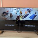 애견#(샾) | [대구cctv]대구cctv보인시스템의 설치 후기 동구 율하동 애견샾 2대 설치~~