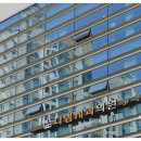 디엠치과의원 네이버블로그