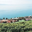 주명농장 이미지