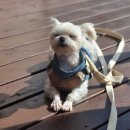 하얀고래펜션 이미지