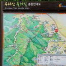 상록마을길 이미지