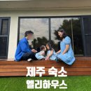 엘리하우스 | [제주 구좌]에어비앤비 엘리하우스 아기랑 독채숙소 추천(내돈내산)