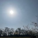 유화 | 제주여행 추천코스 | 포도뮤지엄 우리 이토록 작은 존재들 전시 관람 후기, 포도호텔 레스토랑, 포도...