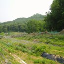 수서농장 이미지