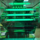 수진초등학교 이미지