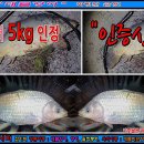 월척낚시터 이미지