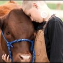 하이시스로지텍 이미지