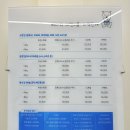 배다리 애견 미용 티스토리