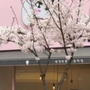 멍멍이 이발관 이미지