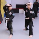 하단제일합기도 이미지