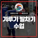 경희대 부부 다원태권도장 이미지