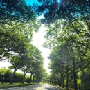 용수리머물다 이미지