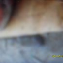 온동네식당 이미지