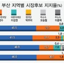 [6·13 여론조사-부산시장] 원도심·동부산 오거돈 독주, 낙동강은 서병수 선전 이미지